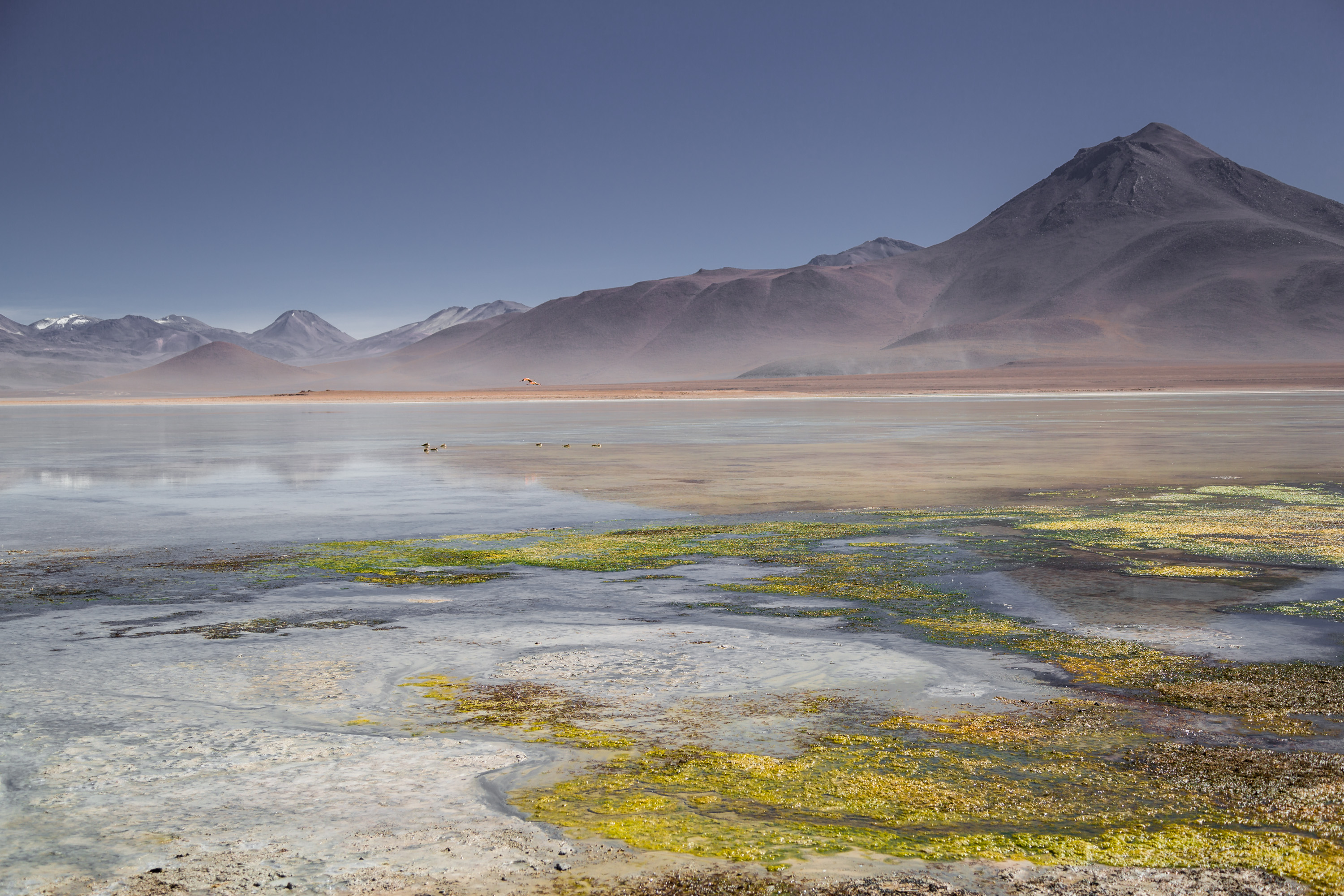 Uyuni salt flats & Desert of Bolivia