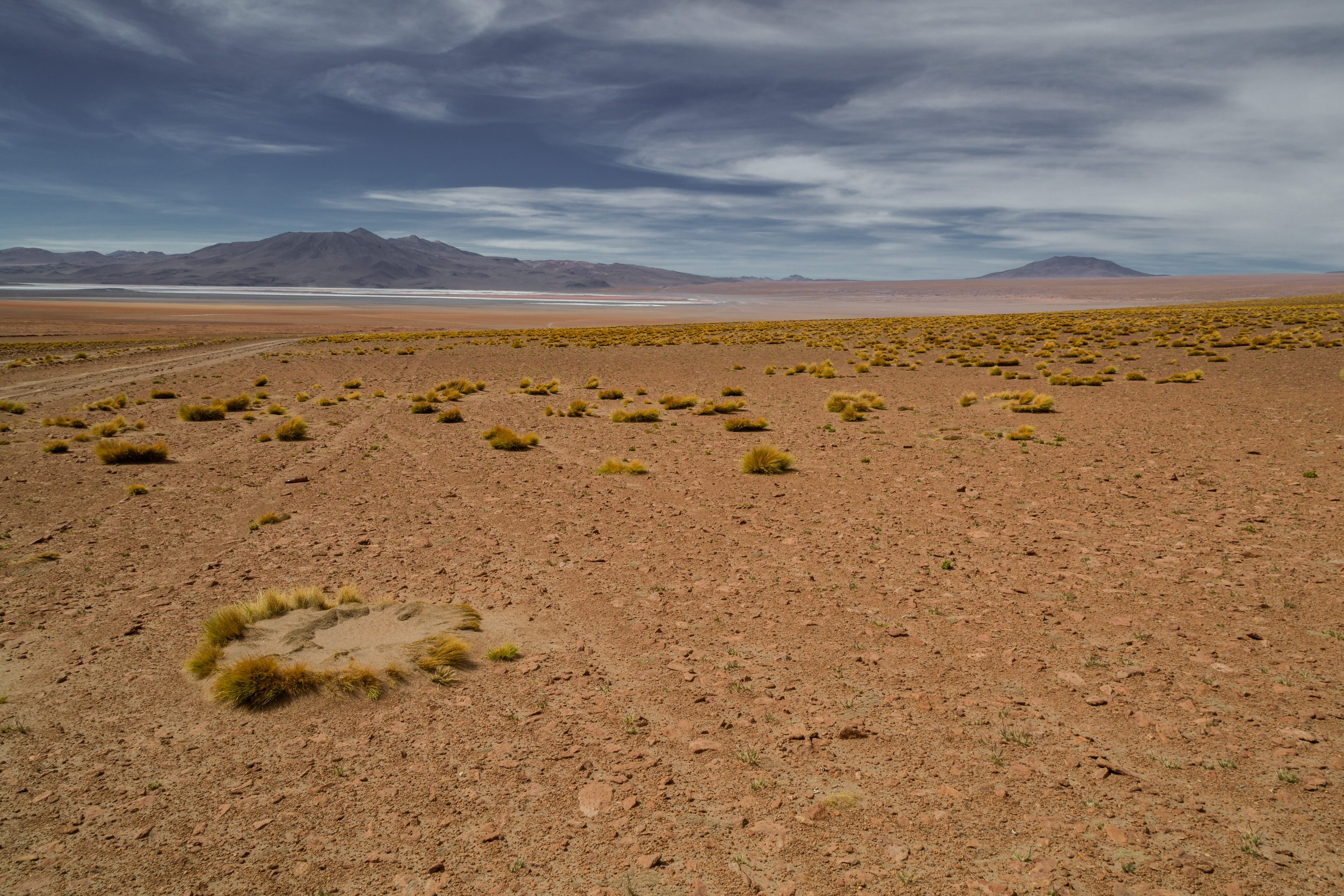 Uyuni Salt Flats & Desert -  Spectacular landscapes