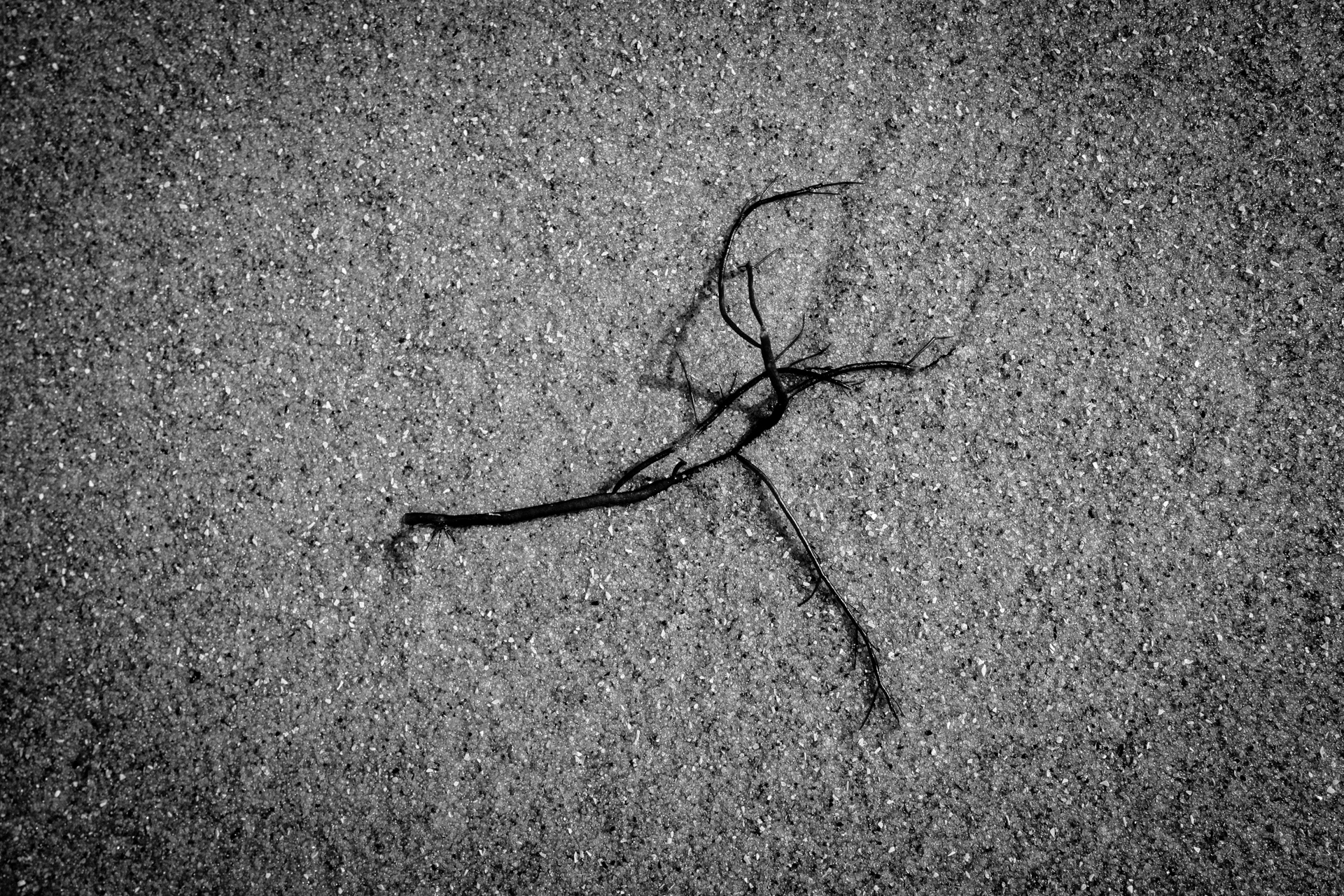 Abstract beach fundus Norderney B/W