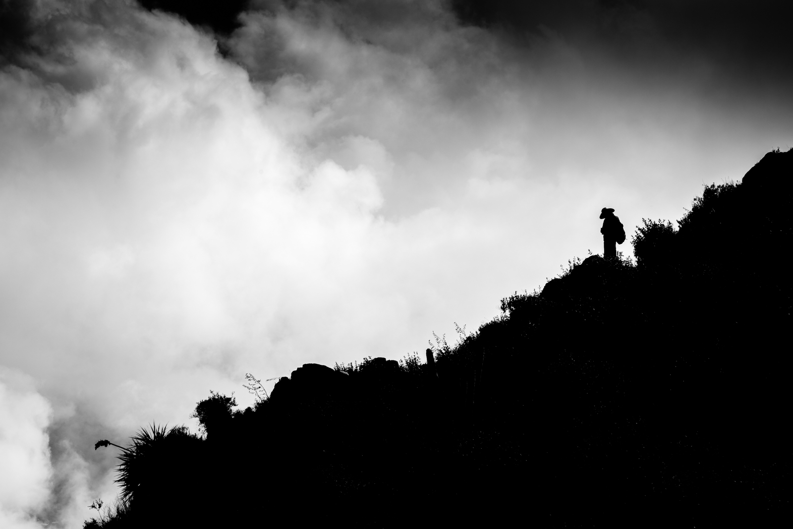 Fine Art: Echoes of Dreams